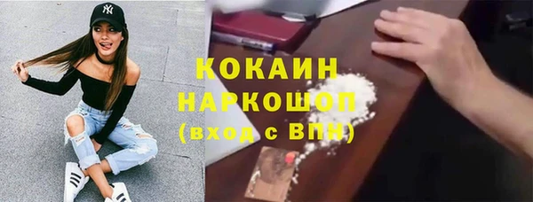 a pvp Бородино
