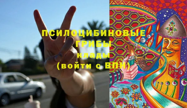 ПСИЛОЦИБИНОВЫЕ ГРИБЫ Бугульма