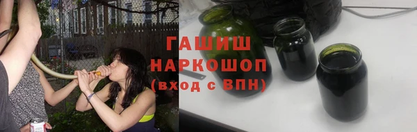 a pvp Бородино