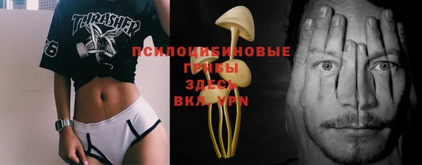 индика Няндома
