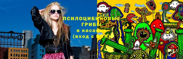 сатива Нягань