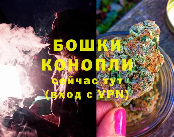 a pvp Бородино