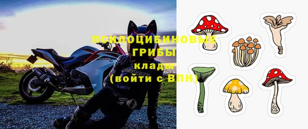 гидра Приозерск