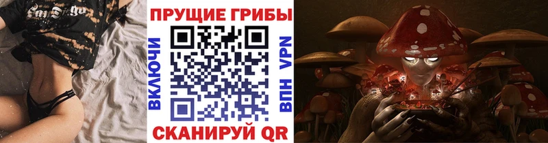 omg как зайти  Камызяк  Псилоцибиновые грибы Magic Shrooms 